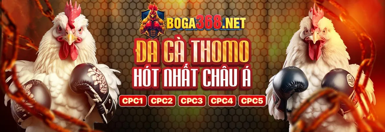 Đá Gà Trực Tuyến 77BET